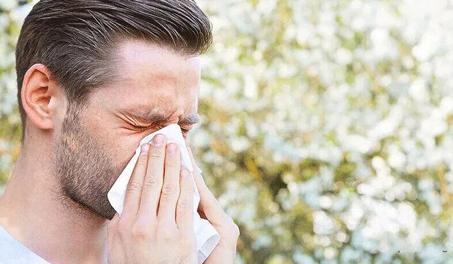 مواد غذایی آلرژی‌زا و غذاهای مفید برای آلرژی / راهکار درمان آلرژی به حیوانات